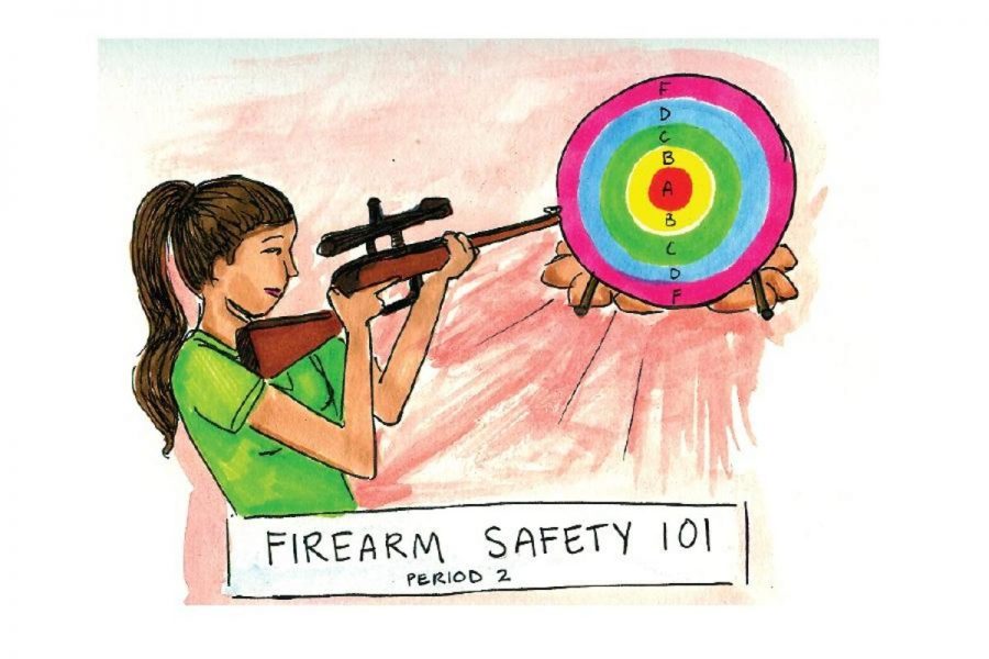 Gunning for Safety in Schools