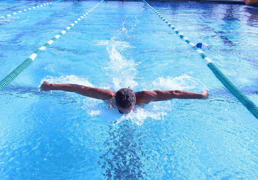 Communications senior Michael Rahrig practices his 50 yard butterfly for the swim team.