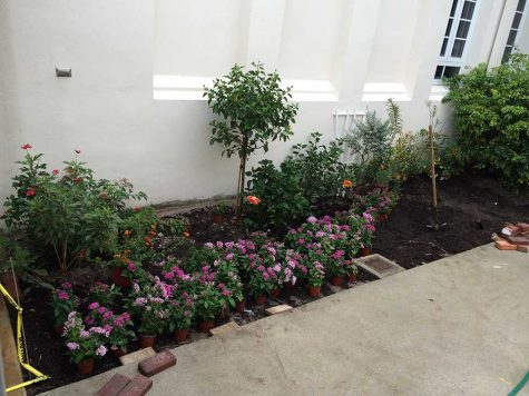 As plants were added, the butterfly garden began to transform into what it looks like today.
