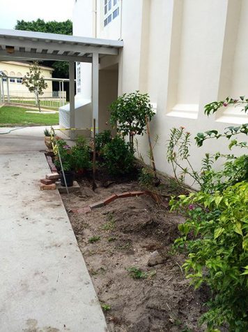 The butterfly garden in the beginning stages of its building. 