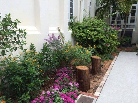 The butterfly garden changes everyday with another blooming flower and another fallen leaf.