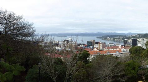 The view of Wellington, New Zealand's capital.