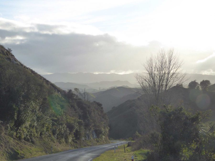 While crossing the North Island, communications junior Tom Kapitulnik and her family traveled along the forgotten world highway.