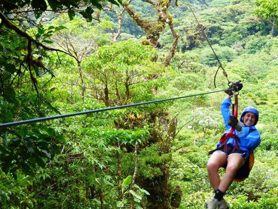 Communications junior Tom Kapitulnik zip lining in Monteverde, Costa Rica. 