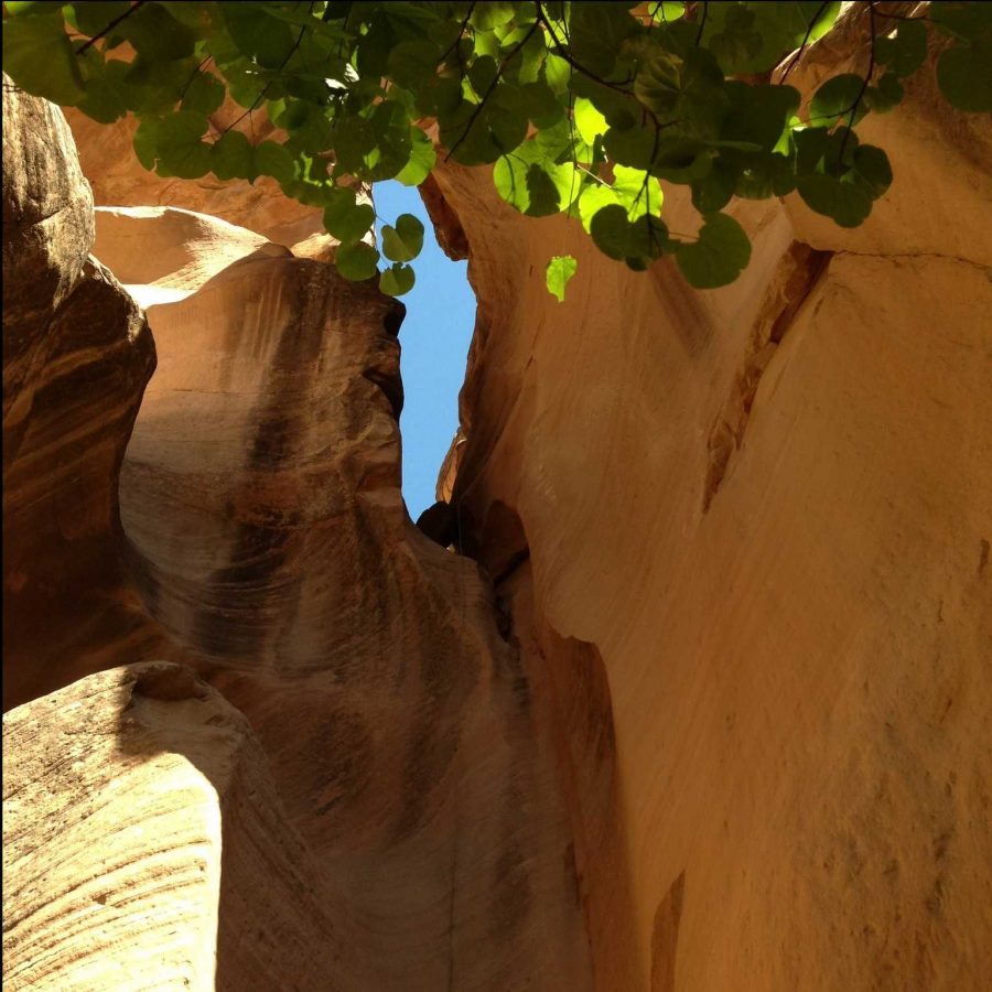 One of the cliffs used for rappelling.