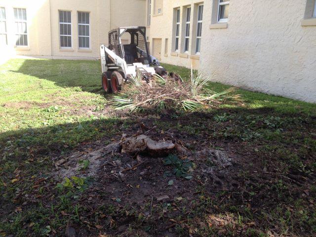 The tree trimming crew has been working on clearing out the remains of the tree near Building 1.