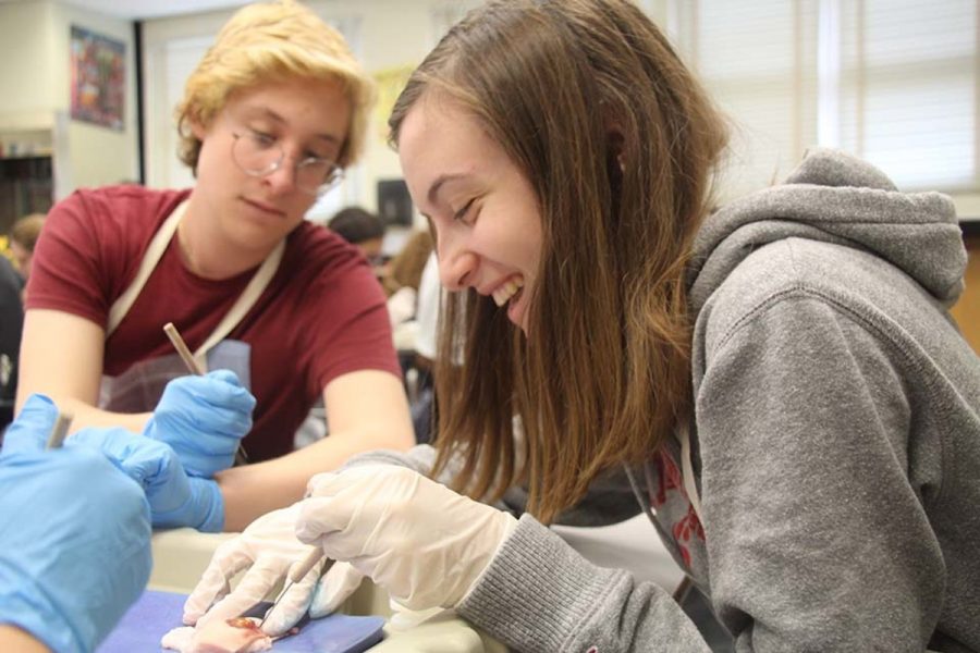 Theatre junior Becca Suskauer (R-L) and communications senior Adam Nir share a laugh while tattooing their pieces of pig skin. 