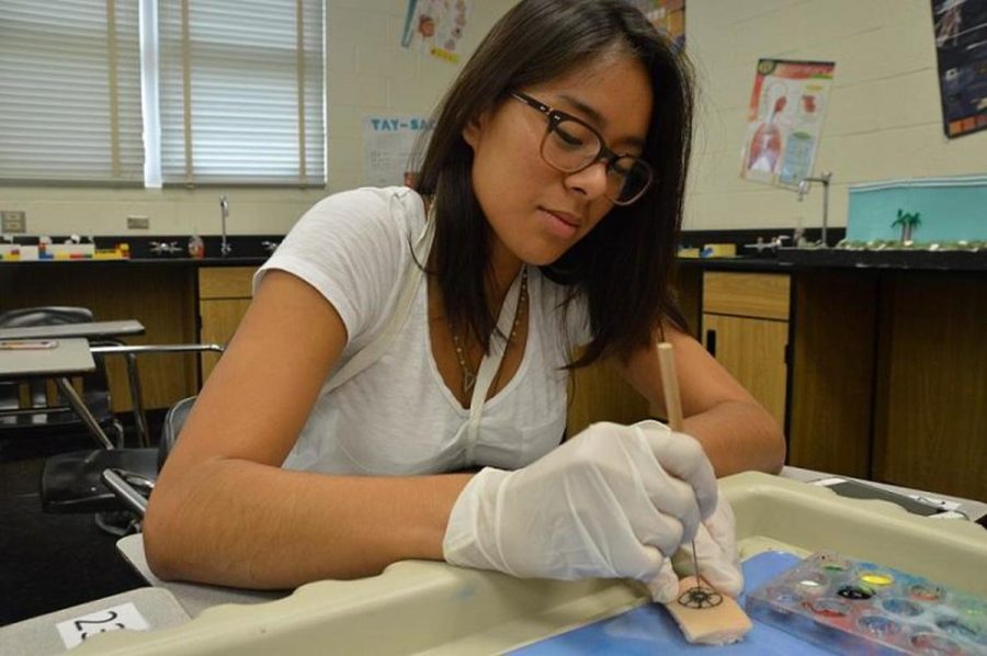Communications+junior+Alex+Huynh+uses+a+needle+to+tattoo+a+piece+of+pig+skin.+This+lab+is+part+of+the+Anatomy+curriculum+and+takes+place+after+students+learn+about+the+Integumentary+system.+%0A