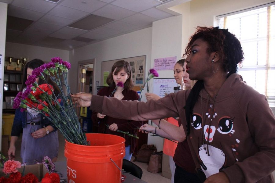 Communications senior Zahariah Leggett organizes carnations for the “Seeds” Valentine’s Day flower delivery. “[Students] should buy [carnations] because they’re cheap gifts to buy for all of their friends on Valentine’s Day. It also supports the annual publication of ‘Seeds,’”  “Seeds” Editor-in-Chief and communications senior Taylor Spruce said.