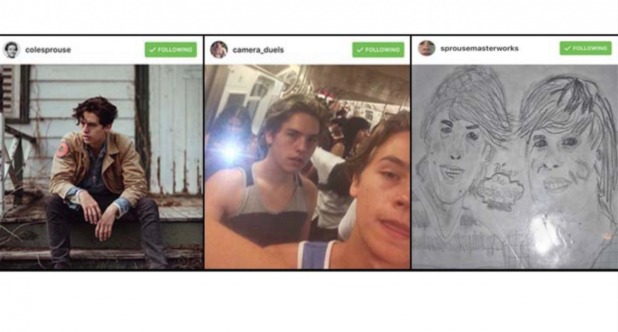 Images from Cole Sprouses three Instagram accounts. Each account provides a different form of self expression from Sprouse and entertainment to his fans.