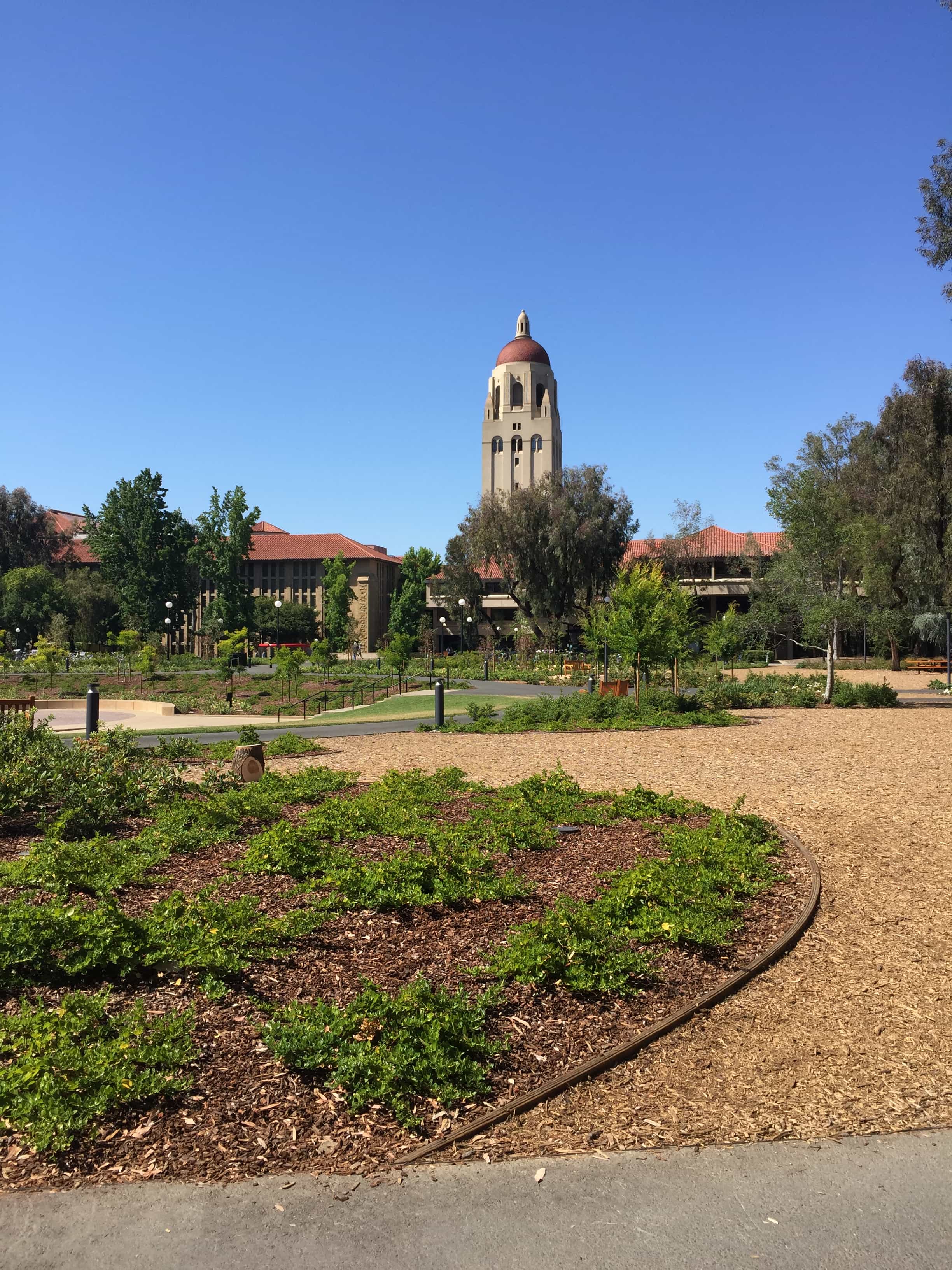 Summer+at+Stanford