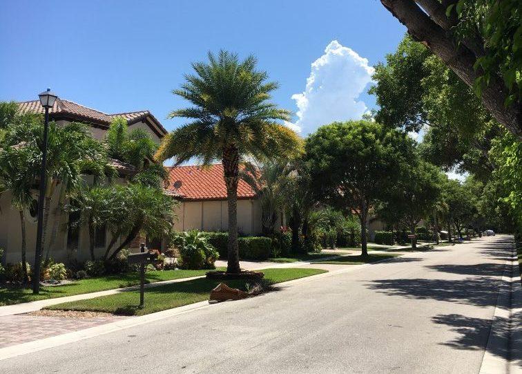 This is the road near communications senior and Editor-in-Chief Isaac Ochoas house. This is the fifth home where he has lived in the last five years. 