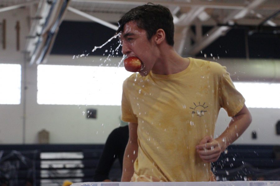 Digital junior Ethan Blanc bobs for apples during the Fall Festival on Oct. 31 in the Bobbing for Apples Relay. The sophomore class ultimately won the relay.