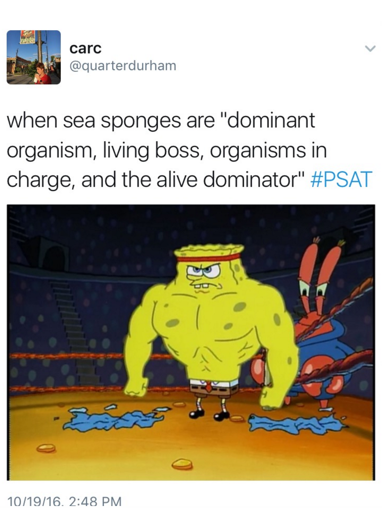 PSAT+Memes