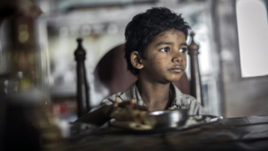"Lion" Review