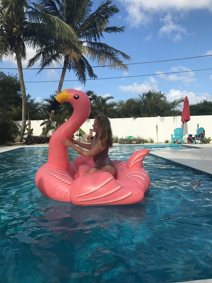 Dance junior Emily Sweetz modeling a retro-striped one piece on her pink flamingo pool float at her home. 