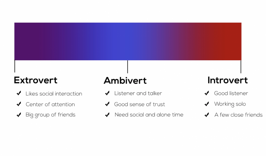 Rather+than+being+two+opposites%2C+extroversion+and+introversion+are+just+two+sides+of+a+personality+spectrum.++Also+found+on+the+spectrum+is+ambiversion%2C+which+is+the+middle+ground+between+an+extrovert+and+an+introvert.%0A