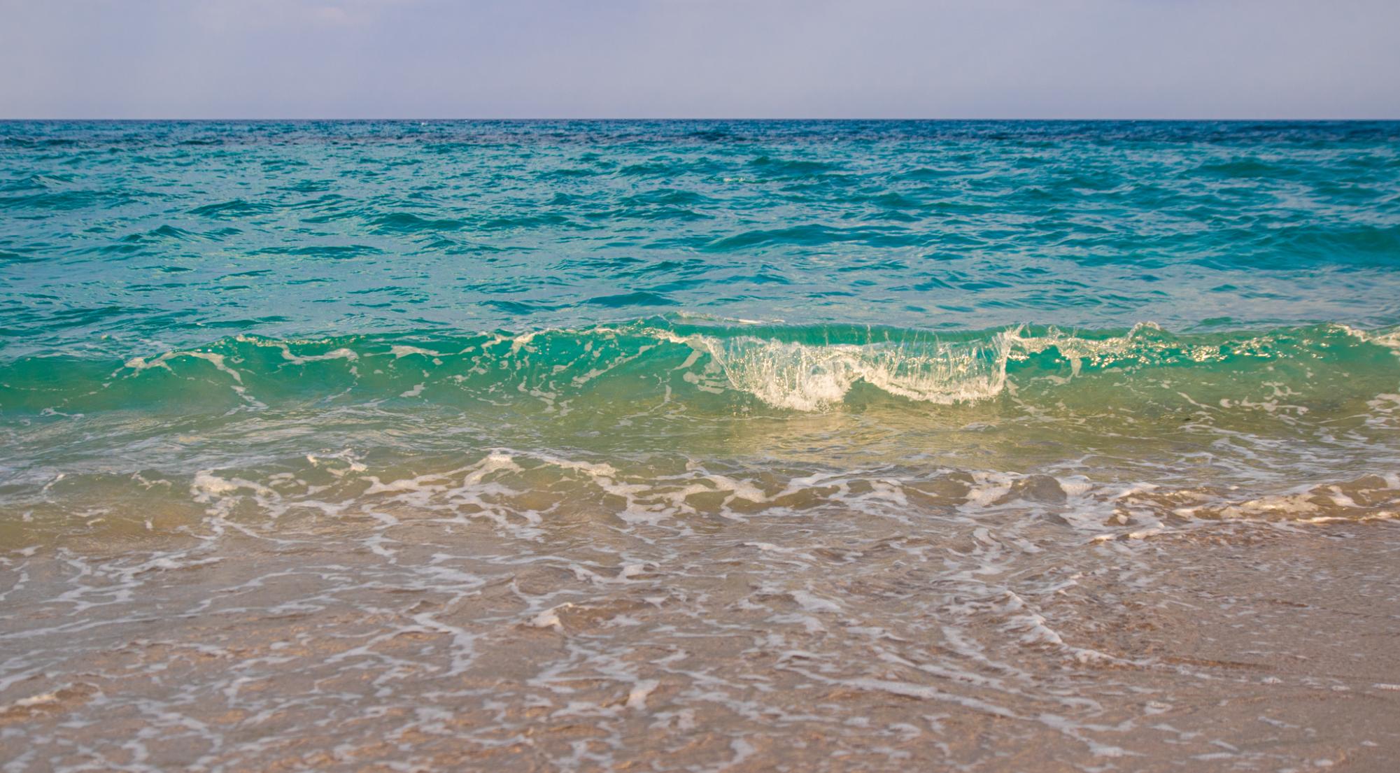 Finding the Perfect Palm Beach