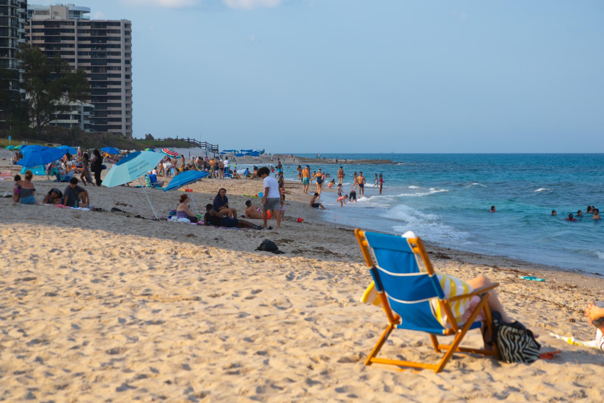 Finding the Perfect Palm Beach