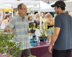 A representative showcases one of his bonsai trees to a customer. The Bonsai Brothers, centered in Loxahatchee, Florida, illustrate “living art of bonsai” by selling the tree as well as offering tree-sitting services.