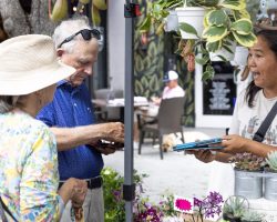 Purchasing succulents from Kcee Nursery to take home, customers communicate with the stand representative. The nursery sells plants both in markets as well as online via their website, Kcee Nursery Online Shop, including Thai constellations, spider plants, and strings of pearls.