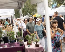 Walking through Clematis Street, patrons pass by booths that have items consisting of bonsai trees, Korean BBQ, scarves, and jewelry. The street connects to the Waterfront, the area where the Intracoastal Waterway runs across from Palm Beach Island, allowing people to sit, eat, and examine their purchases with a water view.